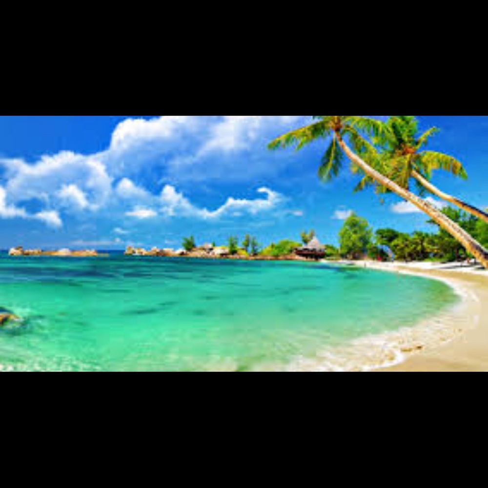 Meet your Posher, Brenna